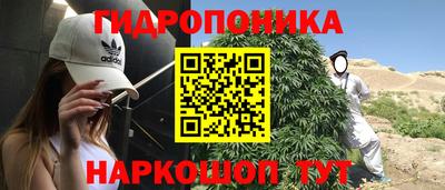 МДПВ Будённовск